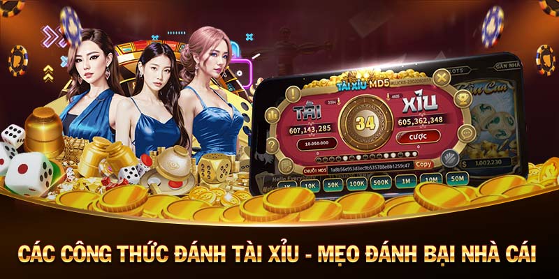 Rong Gold ｜ Link tải Rong Gold mới nhất 2023 - Nạp rút 1：1